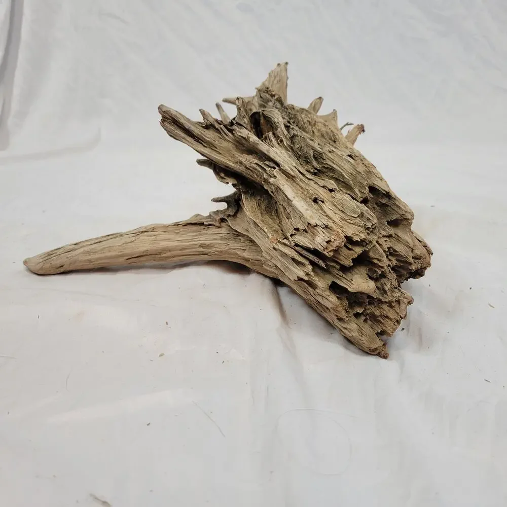 Ohio River Driftwood 13